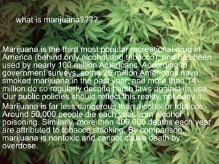 What is marijuana???
what is marijuana????
Marijuana is the third most popular recreational drug in
America (behind only alcohol and tobacco), and has been
used by nearly 100 million Americans. According to
government surveys, some 25 million Americans have
smoked marijuana in the past year, and more than 14
million do so regularly despite harsh laws against its use.
Our public policies should reflect this reality, not deny it.
Marijuana is far less dangerous than alcohol or tobacco.
Around 50,000 people die each year from alcohol
poisoning. Similarly, more than 400,000 deaths each year
are attributed to tobacco smoking. By comparison,
marijuana is nontoxic and cannot cause death by
overdose.
 