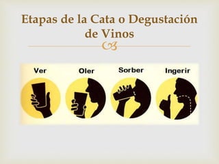 Etapas de la Cata o Degustación 
de Vinos 
 
 