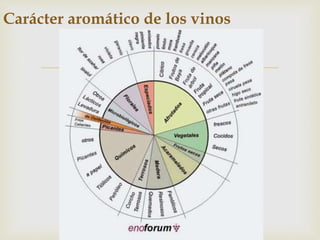 Carácter aromático de los vinos 
 
 