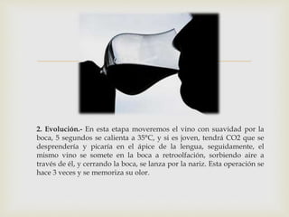  
2. Evolución.- En esta etapa moveremos el vino con suavidad por la 
boca, 5 segundos se calienta a 35°C, y si es joven, tendrá CO2 que se 
desprendería y picaría en el ápice de la lengua, seguidamente, el 
mismo vino se somete en la boca a retroolfación, sorbiendo aire a 
través de él, y cerrando la boca, se lanza por la nariz. Esta operación se 
hace 3 veces y se memoriza su olor. 
 