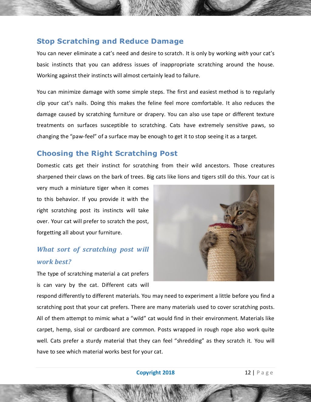 Cat behavior problems and how to solve them