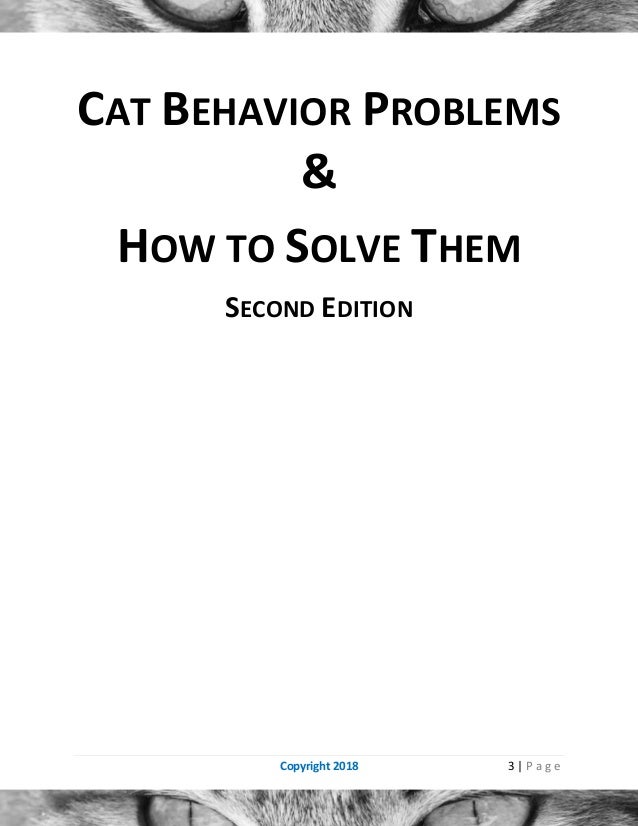 Cat behavior problems and how to solve them