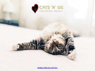 www.catsrus.com.au
 
