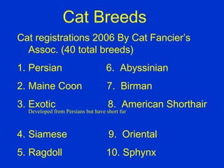 Cat Breeds
Cat registrations 2006 By Cat Fancier’s
  Assoc. (40 total breeds)
1. Persian                         6. Abyssinian
2. Maine Coon                      7. Birman
3. Exotic                           8. American Shorthair
  Developed from Persians but have short fur



4. Siamese                          9. Oriental
5. Ragdoll                         10. Sphynx
 