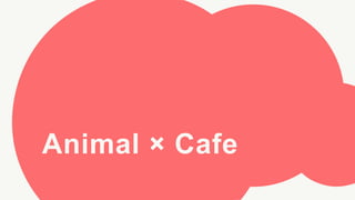 Animal × Cafe
 