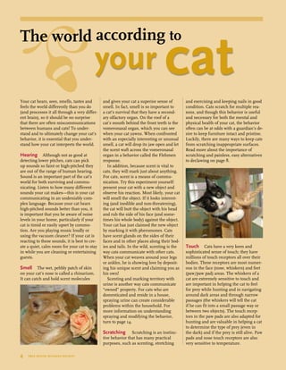 Your cat hears, sees, smells, tastes and
feels the world differently than you do
(and processes it all through a very differ-
ent brain), so it should be no surprise
that there are often miscommunications
between humans and cats! To under-
stand and to ultimately change your cat’s
behavior, it is essential that you under-
stand how your cat interprets the world.
Hearing Although not as good at
detecting lower pitches, cats can pick
up sounds so faint or high-pitched they
are out of the range of human hearing.
Sound is an important part of the cat’s
world for both surviving and commu-
nicating. Listen to how many different
sounds your cat makes—this is your cat
communicating in an undeniably com-
plex language. Because your cat hears
high-pitched sounds better than you, it
is important that you be aware of noise
levels in your home, particularly if your
cat is timid or easily upset by commo-
tion. Are you playing music loudly or
using the vacuum cleaner? If your cat is
reacting to these sounds, it is best to cre-
ate a quiet, calm room for your cat to stay
in while you are cleaning or entertaining
guests.
Smell The wet, pebbly patch of skin
on your cat’s nose is called a rhinarium.
It can catch and hold scent molecules
and gives your cat a superior sense of
smell. In fact, smell is so important to
a cat’s survival that they have a second-
ary olfactory organ. On the roof of a
cat’s mouth behind the front teeth is the
vomeronasal organ, which you can see
when your cat yawns. When confronted
with an especially interesting or unusual
smell, a cat will drop its jaw open and let
the scent waft across the vomeronasal
organ in a behavior called the Flehmen
response.
In addition, because scent is vital to
cats, they will mark just about anything.
For cats, scent is a means of commu-
nication. Try this experiment yourself:
present your cat with a new object and
observe his reaction. Most likely, your cat
will smell the object. If it looks interest-
ing (and inedible and non-threatening),
the cat will butt the object with his head
and rub the side of his face (and some-
times his whole body) against the object.
Your cat has just claimed the new object
by marking it with pheromones. Cats
have scent glands on the sides of their
faces and in other places along their bod-
ies and tails. In the wild, scenting is the
way cats communicate with other cats.
When your cat weaves around your legs
or ankles, he is showing love by deposit-
ing his unique scent and claiming you as
his own!
Scenting and marking territory with
urine is another way cats communicate
“owned” property. For cats who are
domesticated and reside in a house,
spraying urine can create considerable
problems within the household. For
more information on understanding
spraying and modifying the behavior,
turn to page 14.
Scratching Scratching is an instinc-
tive behavior that has many practical
purposes, such as scenting, stretching
and exercising and keeping nails in good
condition. Cats scratch for multiple rea-
sons, and though this behavior is useful
and necessary for both the mental and
physical health of your cat, the behavior
often can be at odds with a guardian’s de-
sire to keep furniture intact and pristine.
Luckily, there are many ways to keep cats
from scratching inappropriate surfaces.
Read more about the importance of
scratching and painless, easy alternatives
to declawing on page 8.
Touch Cats have a very keen and
sophisticated sense of touch; they have
millions of touch receptors all over their
bodies. These receptors are most numer-
ous in the face (nose, whiskers) and feet
(paw/paw pad) areas. The whiskers of a
cat are extremely sensitive to touch and
are important in helping the cat to feel
for prey while hunting and in navigating
around dark areas and through narrow
passages (the whiskers will tell the cat
if he can fit into a small passage way or
between two objects). The touch recep-
tors in the paw pads are also adapted for
hunting and are valuable in helping a cat
to determine the type of prey (even in
the dark) and if the prey is still alive. Paw
pads and nose touch receptors are also
very sensitive to temperature.
4  tree house humane society
The world according to
	 your cat
 