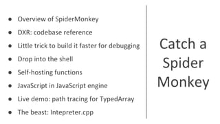 Catch a spider monkey | PPT