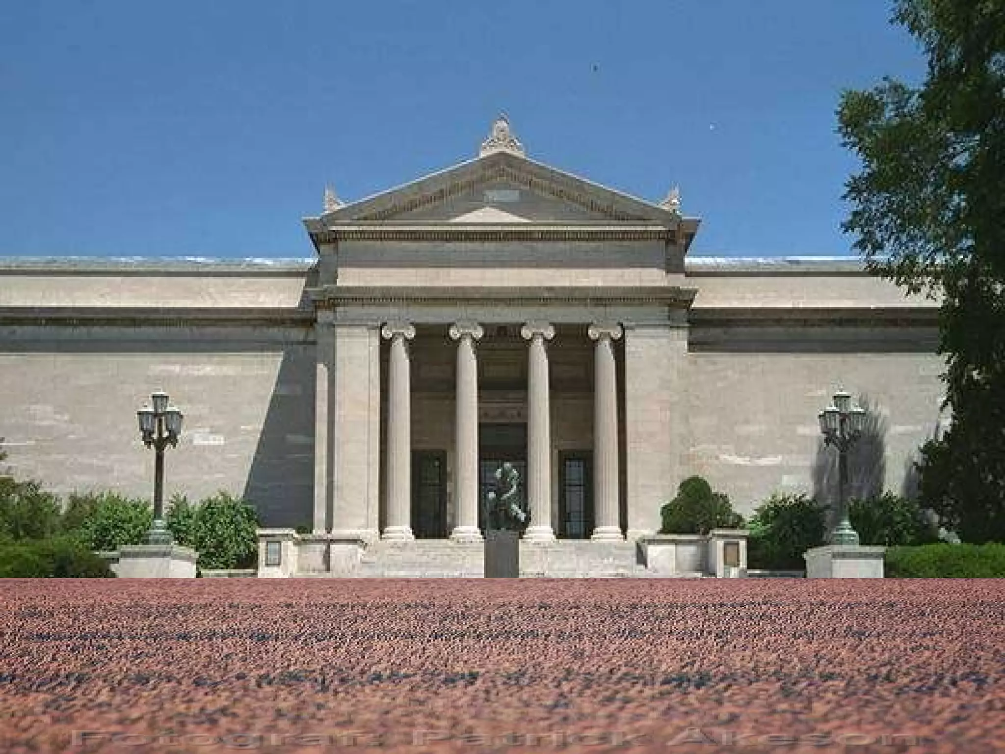 Catcher In The Rye | PPT