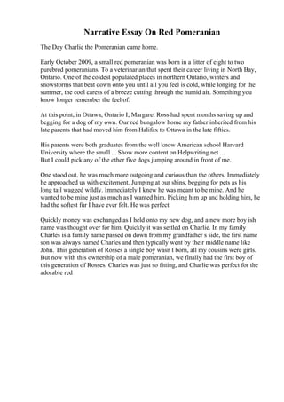 Narrative Essay On Red Pomeranian
The Day Charlie the Pomeranian came home.
Early October 2009, a small red pomeranian was born in a litter of eight to two
purebred pomeranians. To a veterinarian that spent their career living in North Bay,
Ontario. One of the coldest populated places in northern Ontario, winters and
snowstorms that beat down onto you until all you feel is cold, while longing for the
summer, the cool caress of a breeze cutting through the humid air. Something you
know longer remember the feel of.
At this point, in Ottawa, Ontario I; Margaret Ross had spent months saving up and
begging for a dog of my own. Our red bungalow home my father inherited from his
late parents that had moved him from Halifax to Ottawa in the late fifties.
His parents were both graduates from the well know American school Harvard
University where the small ... Show more content on Helpwriting.net ...
But I could pick any of the other five dogs jumping around in front of me.
One stood out, he was much more outgoing and curious than the others. Immediately
he approached us with excitement. Jumping at our shins, begging for pets as his
long tail wagged wildly. Immediately I knew he was meant to be mine. And he
wanted to be mine just as much as I wanted him. Picking him up and holding him, he
had the softest fur I have ever felt. He was perfect.
Quickly money was exchanged as I held onto my new dog, and a new more boy ish
name was thought over for him. Quickly it was settled on Charlie. In my family
Charles is a family name passed on down from my grandfather s side, the first name
son was always named Charles and then typically went by their middle name like
John. This generation of Rosses a single boy wasn t born, all my cousins were girls.
But now with this ownership of a male pomeranian, we finally had the first boy of
this generation of Rosses. Charles was just so fitting, and Charlie was perfect for the
adorable red
 