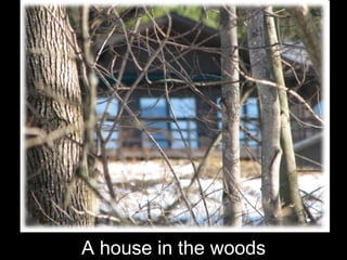 A house in the woods 