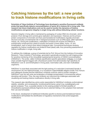 Catching histones by the tail: a new probe
to track histone modifications in living cells
Scientists at Tokyo Institute of Technology have developed a sensitive fluorescent antibody
probe that specifically detects monomethylation of lysine 20 in histone H4 in living cells. This
research has future implications and can be used to monitor the dynamics of histone
modifications and genome integrity in single living cells without disturbing cellular functions.
Genomic integrity in living cells is maintained by packaging of nuclear DNA into chromatin, which
protects it from damage and controls gene replication and expression. Histones are the primary
protein components of chromatin and their post-translational modifications regulate chromatin
structure and play a fundamental role in biological processes such as DNA repair, DNA replication,
mitosis, etc. Among the modifications, methylation of histone H4 at lysine 20 (H4K20) is
evolutionarily conserved from yeast to humans and exists in three states, mono-, di- and
trimethylation, each of which have distinct biological roles. Conventional techniques studying
regulation by histone modifications are limited to fixed (dead) cells, thus preventing assessment of
histone modification in single, living cells.
To address this challenge, a group of scientists led by Prof. Kimura from the Institute of Innovative
Research, Tokyo Institute of Technology, generated a genetically encoded live-cell imaging probe
for sensitive monitoring of the intracellular spatiotemporal dynamics of H4K20 monomethylation
(H4K20me1). The probe, called mintbody (modification-specific intracellular antibody), is a single-
chain variable fragment tagged with a fluorescent protein that demonstrates high specificity for
H4K20me1 over di- and trimethylation in living yeast, mammalian cells, and even multicellular
organisms.
H4K20me1 is most likely associated with the tight packing of a redundant (inactivated) female X
chromosome (Xi) into heterochromatin. In a roundworm Caenorhabditis elegans model, Prof. Kimura
and colleagues showed that the H4K20me1-mintbody could be used to monitor changes in
H4K20me1 over the cell cycle and localization of dosage-compensated X chromosomes without
disrupting cell function. Thus, the new mintbody can overcome the challenges associated with
visualizing and tracking histone modifications directly in living cells.
This research also identified key amino acids responsible for H4K20me1-mintbody conformational
stability, solubility, and consequently, functional performance using X-ray crystallography and
genetic analyses. Thus, a possible solution to the existing problem of limited solubility of
intracellularly expressed antibody fragments due to aberrant folding in the cytoplasm that restricted
their use was formulated.
In the future, development of additional mintbodies specific to diverse post-translational histone
modifications will facilitate the identification of regulatory mechanisms that control epigenetic
modifications.
 