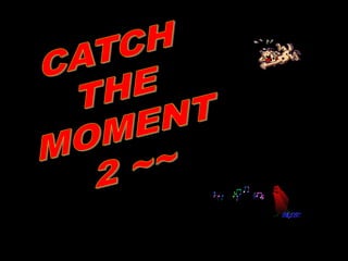 Catch the moment