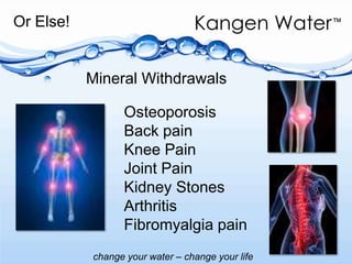 Or Else!Mineral WithdrawalsOsteoporosisBack painKnee PainJoint PainKidney StonesArthritisFibromyalgia pain