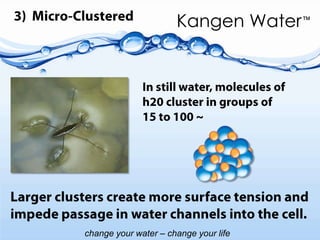   How Does it Work?Water flows in a stream over metal plates inside The plates each have either  a positive or a negative charge to their electrode.This “zapping” causes many of the “h”’s in the “h2o” to split off. Hydrogen collects into the acid stream; water in the other stream is now alkaline and “OH-”.Water cells from 3 different ionizers contain metal plates with electrodes.
