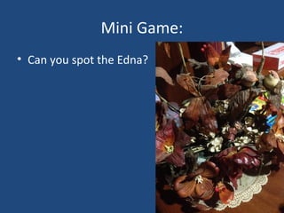 Mini Game:
• Can you spot the Edna?
 