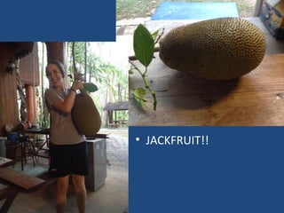 • JACKFRUIT!!
 