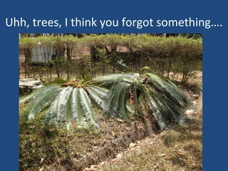 Uhh, trees, I think you forgot something….
 