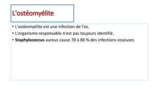 L'ostéomyélite
• L'ostéomyélite est une infection de l'os.
• L'organisme responsable n'est pas toujours identifié.
• Staphylococcus aureus cause 70 à 80 % des infections osseuses
 