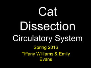 Cat
Dissection
Circulatory System
Spring 2016
Tiffany Williams & Emily
Evans
 