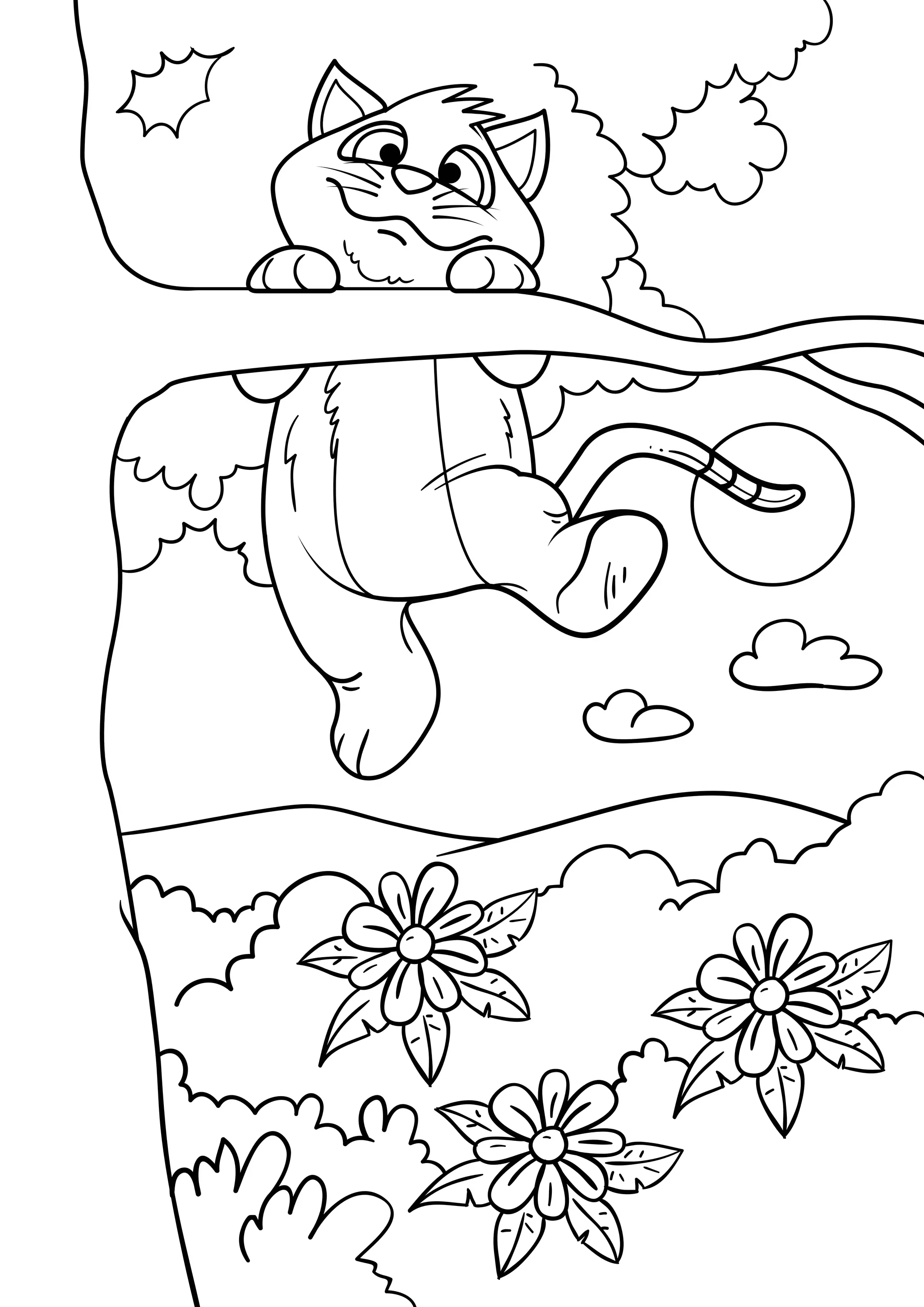 Colloring Cat.pdf Cat Coloring Pages | PDF