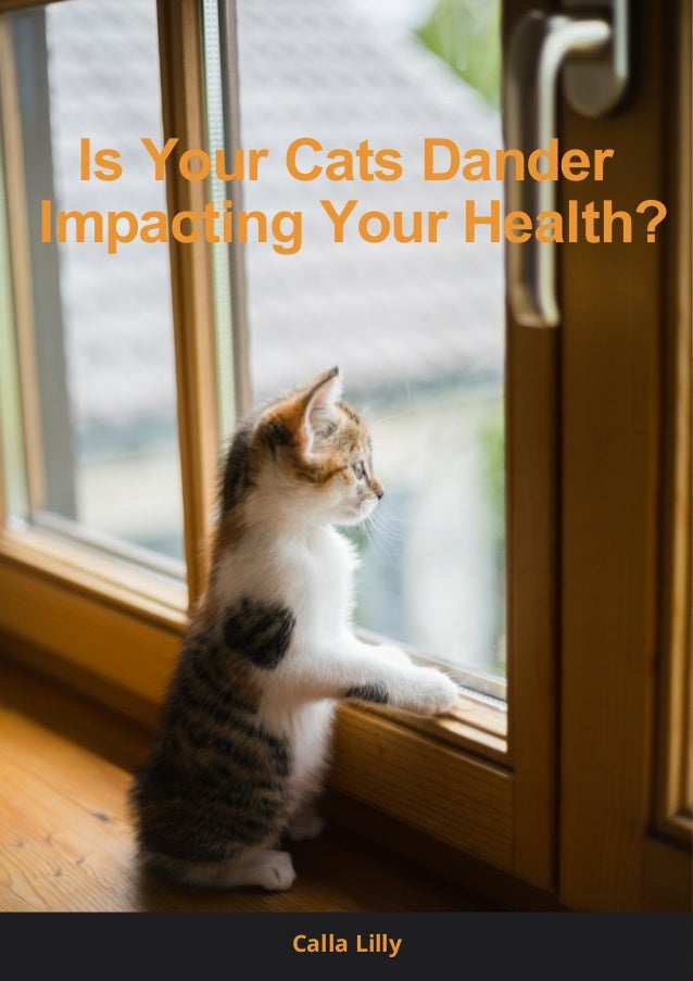 Is Your Cats Dander Impacting Your Health