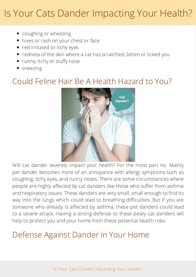 Is Your Cats Dander Impacting Your Health
