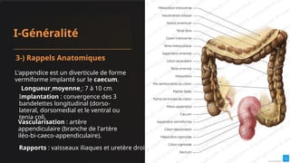 Séméiologie et Chirurgie Digestive : Diagnostic et Traitement de l ...