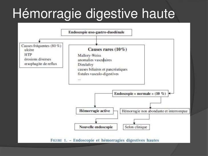 Coloscopie Et Endoscopie En Meme Temps Cat devant une hémorragie digestive