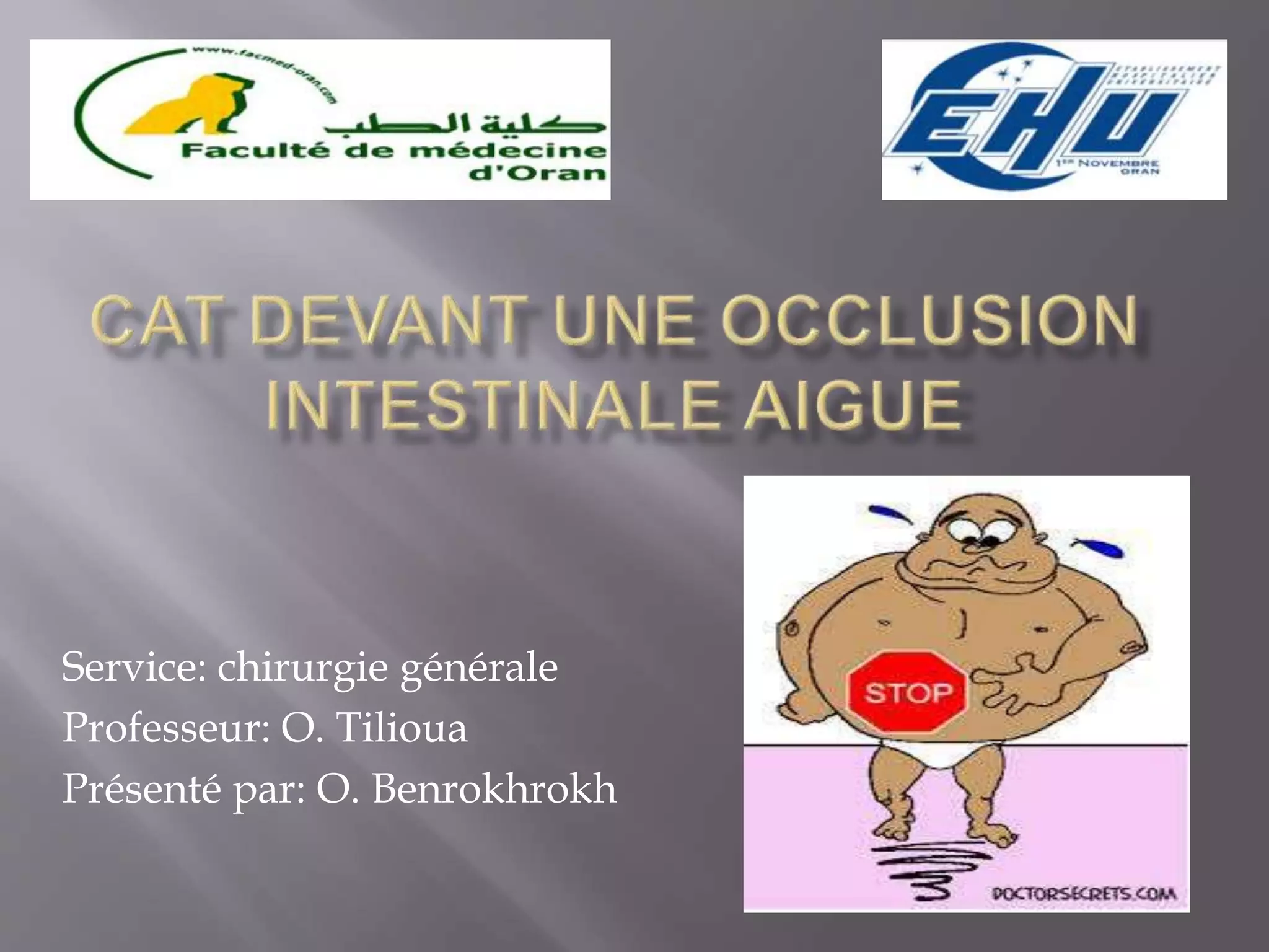 CAT devant une occlusion intestinale aigue PPT