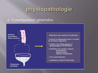 Cat Devant Une Occlusion Intestinale Aigue