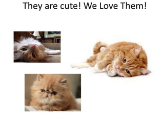 They are cute! We Love Them!
 