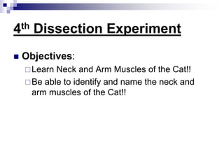 Cat dissection lab and notes chem and bio | PPTX
