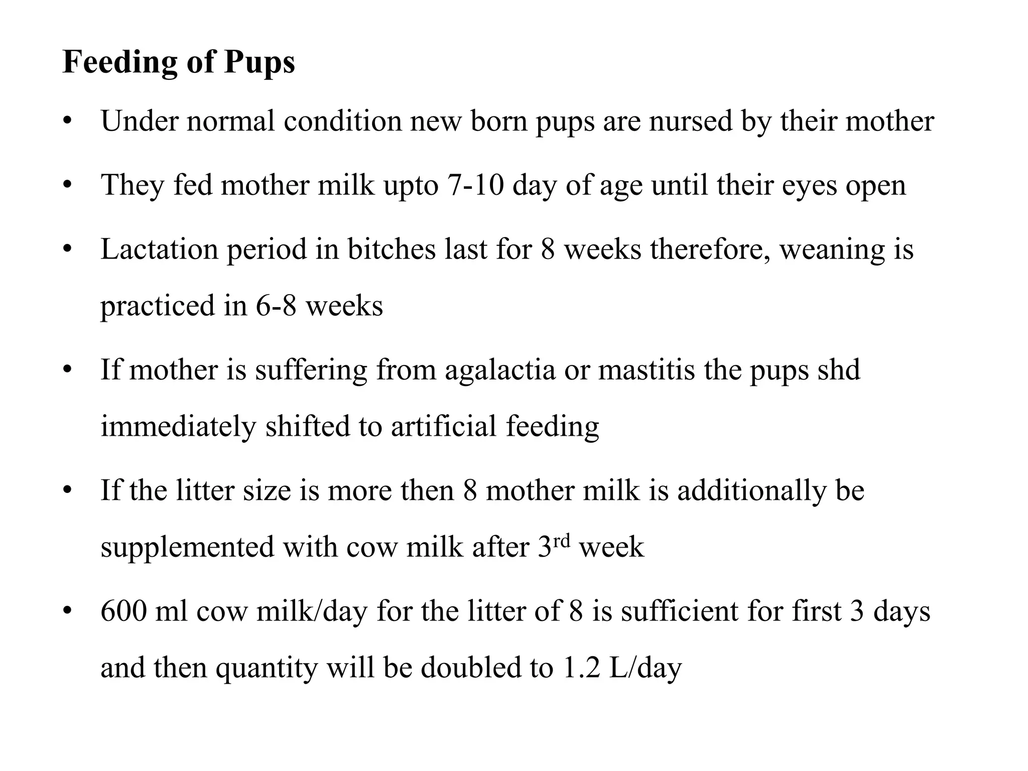 What Do New Mother.Dogs Need for Nutrition: Essential Tips for Health