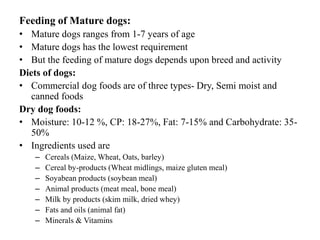 Curated visual reference: Picture Idea: Cat Dog Nutrition