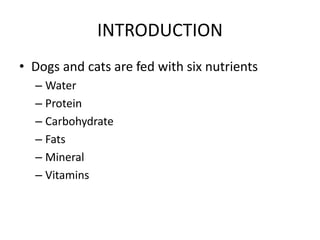 Cat & dog nutrition | PPTX