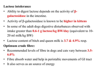 Cat & dog nutrition | PPTX - Dog Owners Lactose Intolerance Question