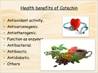 Catechin : a polyphenol of health benefits