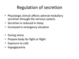 • Physiologic stimuli affects adrenal medullary
secretion through the nervous system.
• Secretion is reduced in sleep.
• Increased in emergency situation
• During stress
• Prepare body for fight or flight
• Exposure to cold
• Hypoglycemia
Regulation of secretion
 