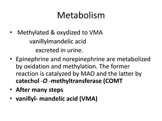 • Methylated & oxydized to VMA
vanillylmandelic acid
excreted in urine.
• Epinephrine and norepinephrine are metabolized
by oxidation and methylation. The former
reaction is catalyzed by MAO and the latter by
catechol -O -methyltransferase (COMT
• After many steps
• vanillyl- mandelic acid (VMA)
Metabolism
 
