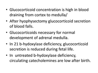 • Glucocorticoid concentration is high in blood
draining from cortex to medulla/
• After hyophysectomy glucocorticoid secretion
of blood falls.
• Glucocorticoids necessary for normal
development of adrenal medulla.
• In 21 b-hydoxylase deficiency, glucocorticoid
secretion is reduced during fetal life.
• In untreated b-hydoxylase deficiency,
circulating catecholemines are low after birth.
 