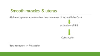 Catecholamines & noncatecholamines | PPTX