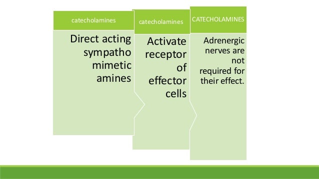 catecholamines noncatecholamines cholinergic agonist