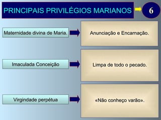 Maternidade divina de Maria.   PRINCIPAIS PRIVILÉGIOS MARIANOS Virgindade perpétua Sendo Mãe de Jesus Nossa Senhora é verdadeiramente   Mãe de Deus . A maternidade divina de Nossa Senhora  é a  causa (raiz)  de todas as suas perfeições e privilégios. Maria concebeu  no seu seio o Filho de  Deus  por obra do Espírito Santo   (Lucas 1, 35 e Mateus 1, 20).  Este Filho, Jesus, nasceu virginalmente por milagre de Deus. Senhor quis que   virgindade   antes ,  durante  e   depois  do parto do Seu Filho Jesus. 6 Imaculada Conceição Em atenção aos méritos e santidade de Jesus Cristo, o Redentor, “a Virgem Maria foi preservada imune de toda a mancha  de pecado original   desde o  primeiro  instante da sua Conceição…”. (Pio IX, Bula do dogma da Imaculada Conceição, 8 –XII -1854). Anunciação e Encarnação.  Limpa de todo o pecado. «Não conheço varão».  