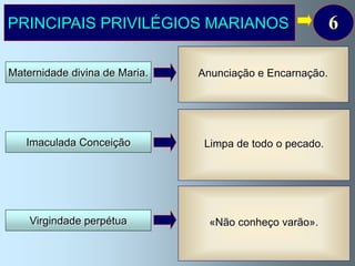 PRINCIPAIS PRIVILÉGIOS MARIANOS                                       6
                                  Sendo Mãe de Jesus Nossa Senhora é
                                    verdadeiramente Mãe de Deus.
Maternidade divina de Maria.     AAnunciação e Encarnação.
                                  maternidade divina de Nossa Senhora
                                   é a causa (raiz) de todas as suas
                                        perfeições e privilégios.


                               Em atenção aos méritos e santidade de Jesus
                                  Cristo, o Redentor, “a Virgem Maria foi
   Imaculada Conceição           preservada de todo o pecado.
                                    Limpa imune de toda a mancha
                                  de pecado original desde o primeiro
                               instante da sua Conceição…”. (Pio IX, Bula do
                               dogma da Imaculada Conceição, 8 –XII -1854).

                                 Maria concebeu no seu seio o Filho de
                                  Deus por obra do Espírito Santo
                                        (Lucas 1, 35 e Mateus 1, 20).
    Virgindade perpétua                «Não conheço varão».
                                Este Filho, Jesus, nasceu virginalmente por
                               milagre de Deus. Senhor quis que virgindade
                                  antes, durante e depois do parto do Seu
                                                 Filho Jesus.
 