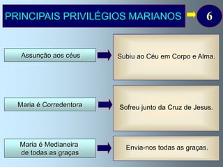 PRINCIPAIS PRIVILÉGIOS MARIANOS                                   6
                           Os cristãos acreditam que Nossa Senhora
                           foi elevada aos Céus em Corpo e Alma.
                          Deus não permitiu a corrupção do corpo
   Assunção aos céus      Subiu ao Céu emno sepulcro Alma.
                           da Mãe de Seu Filho Corpo e e fê-la
                             participante da Glória do Seu Filho,
                           levando-a em corpo e alma para o Céu.
                         O Papa Pio XII definiu este dogma, em 1950.


                           Nossa Senhora participou intimamente em
                             toda a obra redentora do seu Filho,
  Maria é Corredentora    estando presente no Sacrifício do Calvário
                            Sofreu juntoseu próprio sacrifício pela
                            e oferecendo o da Cruz de Jesus.
                         salvação de todos os homens, ( oferecendo o
                         Seu Filho ao Pai, juntamente com a sua dor de
                         Mãe), pelo que merece o título de corredentora.


                          Com a sua poderosa intercessão, obtém
  Maria é Medianeira         Envia-nos todas as graças.
                           para nós todas as graças. Por ser nossa
  de todas as graças     Mãe continua, no Céu, a sua missão salvadora.
 
