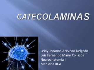 Leidy Jhoanna Acevedo Delgado
Luis Fernando Marín Collazos
Neuroanatomía I
Medicina III-A
 