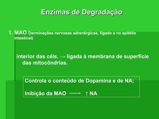 Enzimas de DegradaçãoEnzimas de Degradação
1. MAO (terminações nervosas adrenérgicas, fígado e no epitélio
intestinal)
interior das céls. → ligada à membrana de superfície
das mitocôndrias.
Controla o conteúdo de Dopamina e de NA;
Inibição da MAO ↑ NA
 