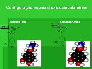 Configuração espacial das catecolaminas
Adrenalina Noradrenalina
 