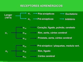 RECEPTORES ADRENÉRGICOSRECEPTORES ADRENÉRGICOS
AhlquistAhlquist
(1948)(1948)
αα
ββ
ADRADR ≥≥ NA >> ISONA >> ISO
ISO > ADRISO > ADR ≥≥ NANA
LandsLands
(1967)(1967)
ββ22
ADRADR ≥≥ NANA
ADR >>>>NAADR >>>>NA
ββ11
EmorineEmorine
(1989)(1989)
ISO = NA > ADRISO = NA > ADRββ33
LangerLanger
(1973)(1973)
αα11
αα22
Pós-sinápticosPós-sinápticos ExcitatórioExcitatório
Pré-sinápticosPré-sinápticos InibitórioInibitório
αα1A1A
αα11 αα1B1B
αα1D1D
Coração, fígado, pulmão, cerebeloCoração, fígado, pulmão, cerebelo
Rim, aorta, córtex cerebralRim, aorta, córtex cerebral
Próstata, aorta, córtex cerebralPróstata, aorta, córtex cerebral
LangerLanger
(1973)(1973)
αα11
αα22
Pós-sinápticosPós-sinápticos ExcitatórioExcitatório
Pré-sinápticosPré-sinápticos InibitórioInibitório
αα2A2A
αα22 αα2B2B
αα2C2C
Pré-sináptico / plaquetas, medula vert.Pré-sináptico / plaquetas, medula vert.
Rim, fígadoRim, fígado
Córtex cerebralCórtex cerebral
 