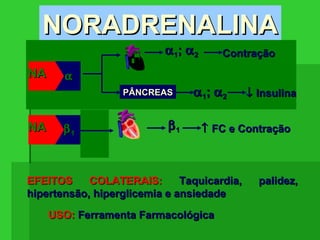 NORADRENALINANORADRENALINA
ββ11
αα
NANA
NANA αα11;; αα22 ContraçãoContração
ββ11 ↑↑ FC e ContraçãoFC e Contração
USO:USO: Ferramenta FarmacológicaFerramenta Farmacológica
EFEITOS COLATERAIS:EFEITOS COLATERAIS: Taquicardia, palidez,Taquicardia, palidez,
hipertensão, hiperglicemia e ansiedadehipertensão, hiperglicemia e ansiedade
αα
αα11;; αα22 ContraçãoContração
PÂNCREASPÂNCREAS αα11;; αα22 ↓↓ InsulinaInsulina
NANA
 